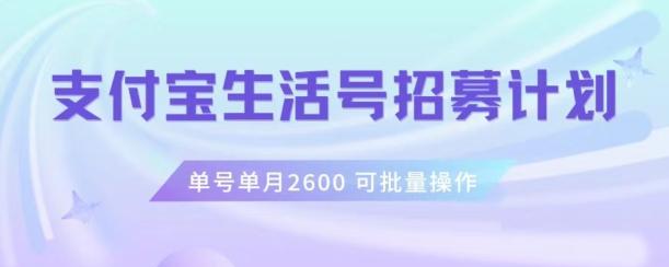 支付宝生活号作者招募计划，单号单月2600，可批量去做，工作室一人一个月轻松1w+【揭秘】-89网创