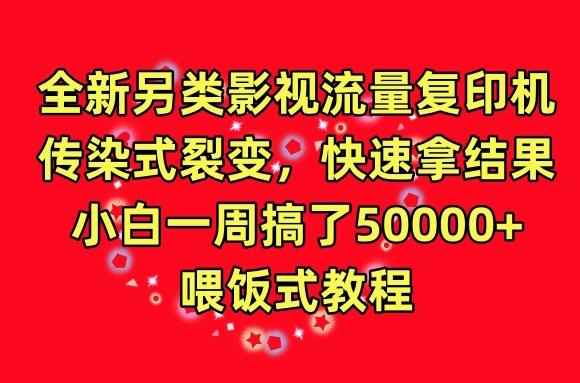 全新另类影视流量复印机，传染式裂变，快速拿结果，小白一周搞了50000+，喂饭式教程【揭秘】-89网创