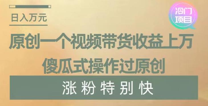 原创一个视频带货收益上万，傻瓜式操作过原创，几分钟做一个视频涨粉特别快【揭秘】-89网创