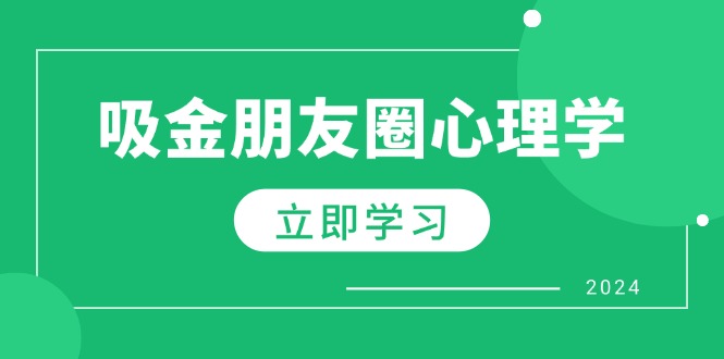 朋友圈吸金心理学：揭秘心理学原理，增加业绩，打造个人IP与行业权威-89网创