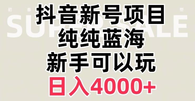 抖音蓝海赛道，必须是新账号，日入4000+【揭秘】-89网创