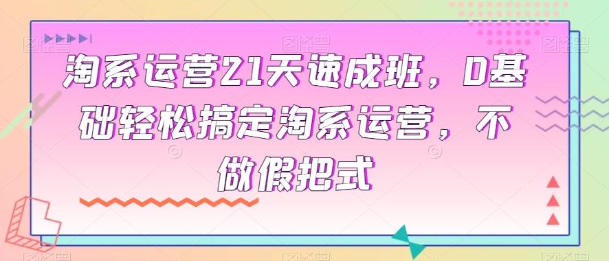 淘系运营21天速成班，0基础轻松搞定淘系运营，不做假把式-89网创