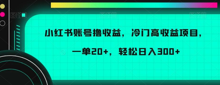 小红书账号撸收益，冷门高收益项目，一单20+，轻松日入300+【揭秘】-89网创