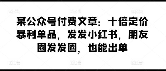 某公众号付费文章：十倍定价暴利单品，发发小红书，朋友圈发发圈，也能出单-89网创