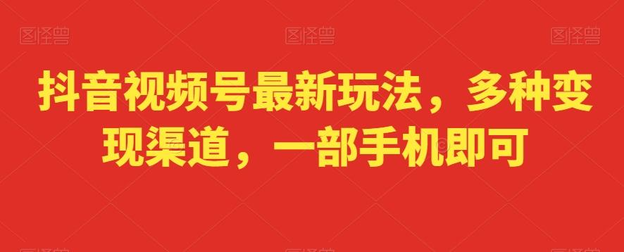 抖音视频号最新玩法，多种变现渠道，一部手机即可-89网创