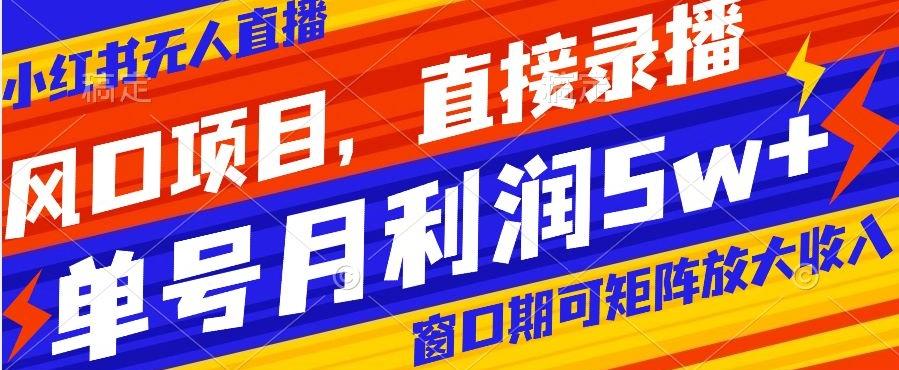 风口项目，小红书无人直播带货，直接录播，可矩阵，月入5w+【揭秘】-89网创