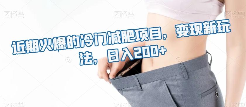 近期火爆的冷门减肥项目，变现新玩法，日入200+-89网创