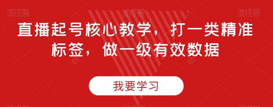 直播起号核心教学，打一类精准标签，做一级有效数据-89网创