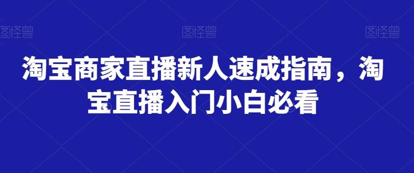 淘宝商家直播新人速成指南，淘宝直播入门小白必看-89网创