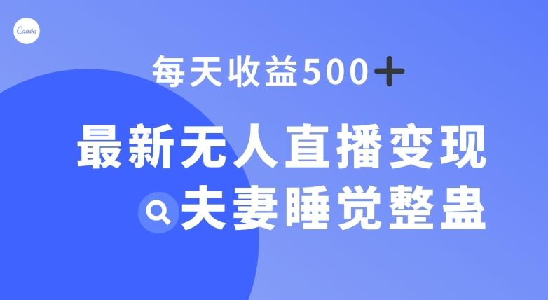 最新无人直播变现，夫妻睡觉整蛊，每天躺赚500+【揭秘】-89网创