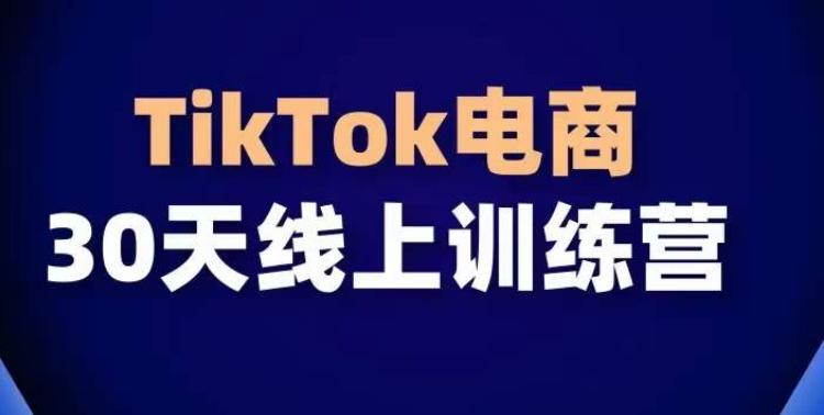 TikTok电商带货30天线上课，不可错过的全球流量洼地！-89网创