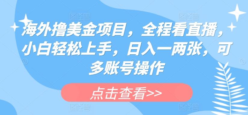 海外撸美金项目，全程看直播，小白轻松上手，日入一两张，可多账号操作【揭秘】-89网创