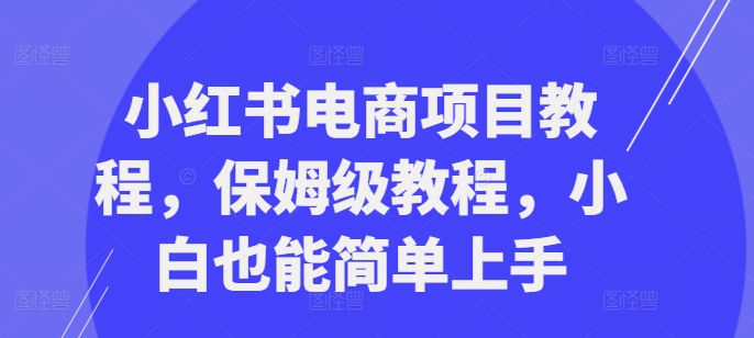 小红书电商项目教程，保姆级教程，小白也能简单上手-89网创