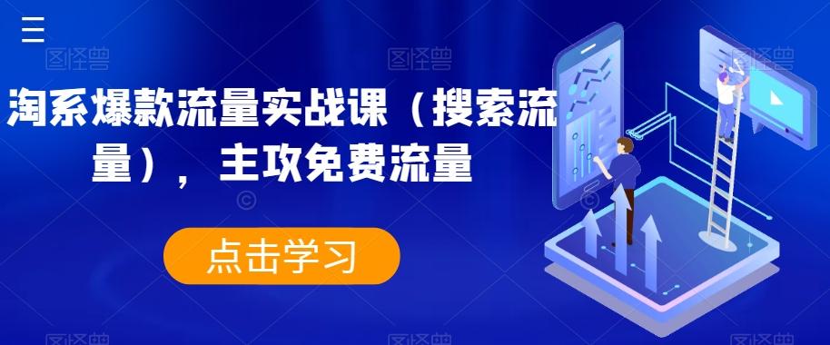 淘系爆款流量实战课（搜索流量），主攻免费流量-89网创