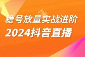 稳号放量实战进阶—2024抖音直播，直播间精细化运营的几大步骤-89网创