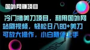 冷门撸美刀项目，利用国外网站刷视频，轻松日入80+美刀，可放大操作，小白随便上手-89网创