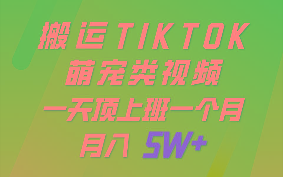 一键搬运TIKTOK萌宠类视频，一部手机即可操作，所有平台均可发布 轻松月入5W+-89网创