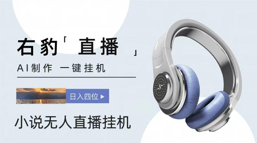 右豹小说无人直播挂机吸金项目，简单易行收益稳定， 月入1000+-89网创
