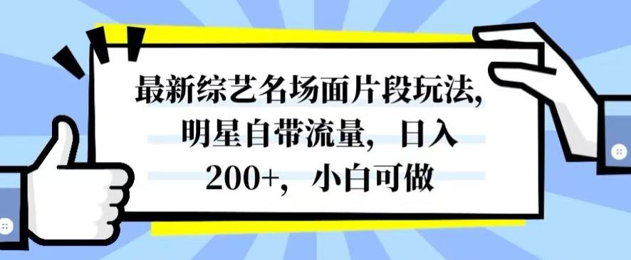最新综艺名场面片段玩法，明星自带流量，日入200+，小白可做【揭秘】-89网创