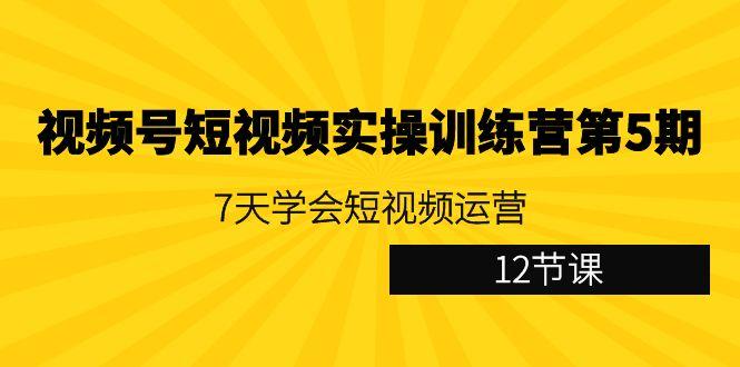 视频号短视频实操训练营第5期：7天学会短视频运营(12节课)-89网创