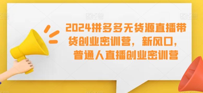 2024拼多多无货源直播带货创业密训营，新风口，普通人直播创业密训营-89网创