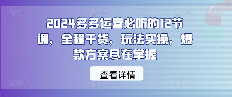 2024多多运营必听的12节课，全程干货，玩法实操，爆款方案尽在掌握-89网创