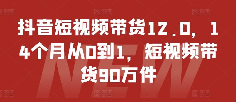 抖音短视频带货12.0，14个月从0到1，短视频带货90万件-89网创