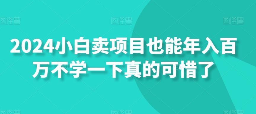 2024小白卖项目也能年入百万不学一下真的可惜了-89网创