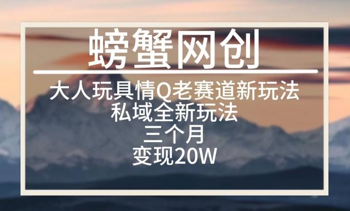 大人玩具情Q用品赛道私域全新玩法，三个月变现20W，老项目新思路【揭秘】-89网创