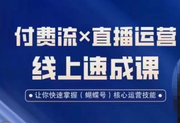 视频号付费流实操课程，付费流✖️直播运营速成课，让你快速掌握视频号核心运营技能-89网创