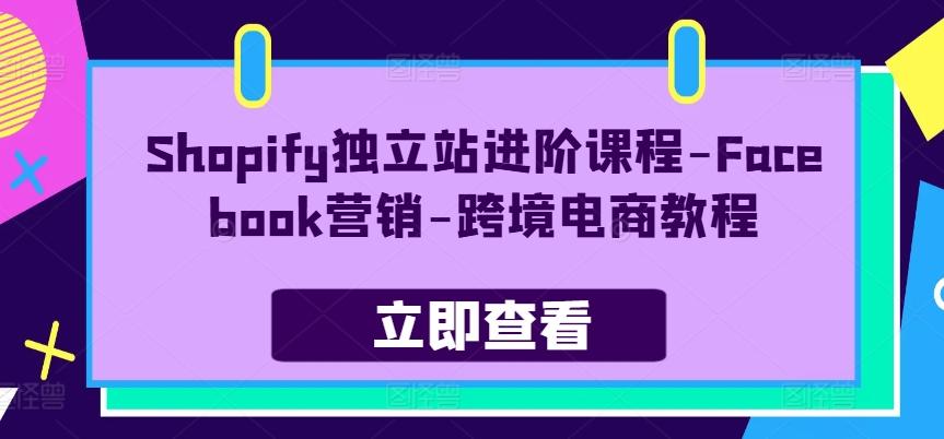 Shopify独立站进阶课程-Facebook营销-跨境电商教程-89网创