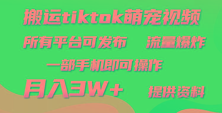 (9618期)搬运Tiktok萌宠类视频，一部手机即可。所有短视频平台均可操作，月入3W+-89网创