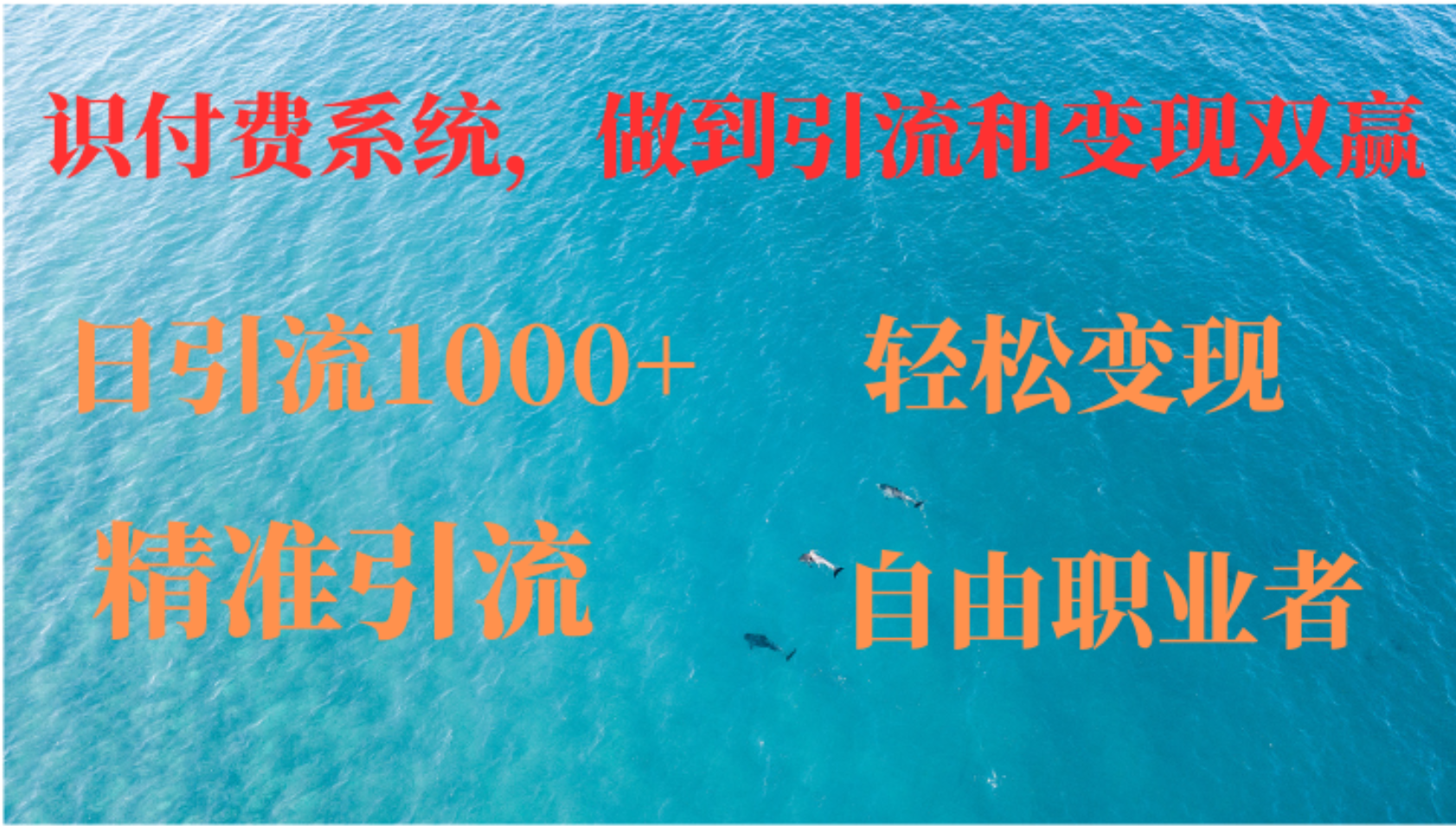如何搭建自己的知识付费系统，做到引流和变现双赢-89网创
