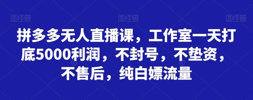 拼多多无人直播课，工作室一天打底5000利润，不封号，不垫资，不售后，纯白嫖流量-89网创