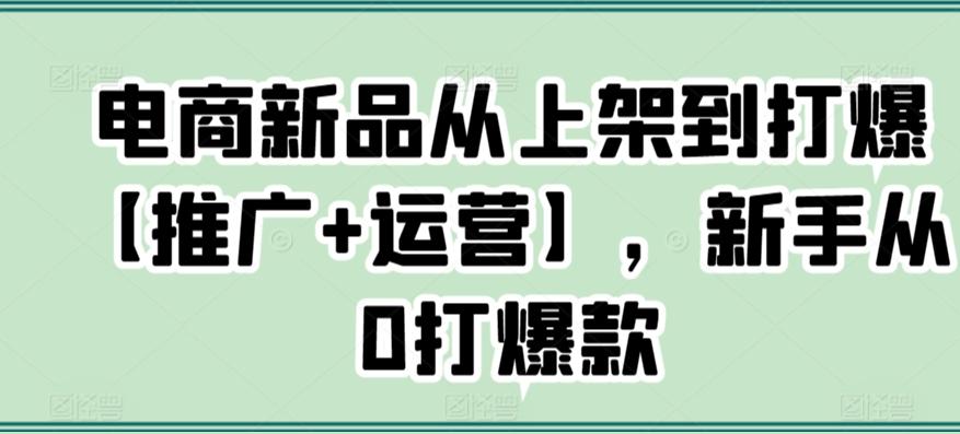 电商新品从上架到打爆【推广+运营】，新手从0打爆款-89网创
