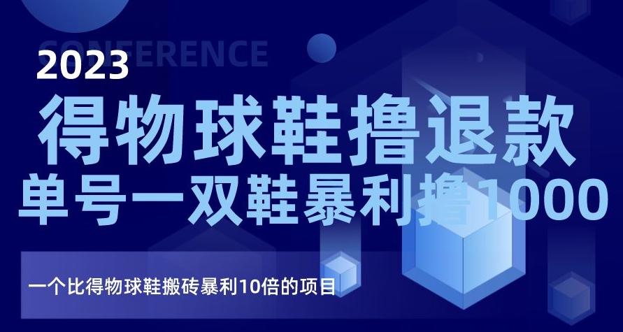 2023得物球鞋撸退款，单号一双鞋暴利撸1000，一个比得物球鞋搬砖暴利10倍的项目【揭秘】-89网创
