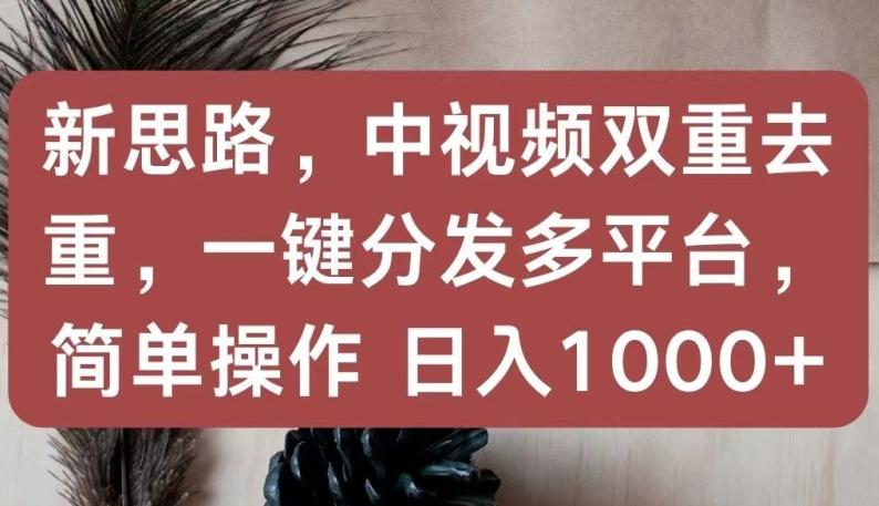 新思路，中视频双重去重，一键分发多平台，简单操作，日入1000+【揭秘】-89网创
