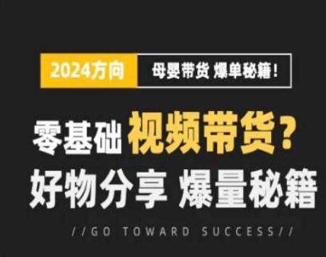短视频母婴赛道实操流量训练营，零基础视频带货，好物分享，爆量秘籍-89网创