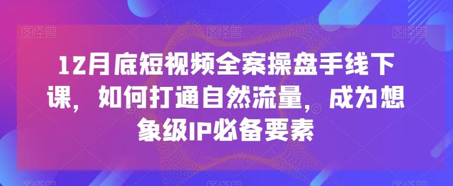 12月底短视频全案操盘手线下课，如何打通自然流量，成为想象级IP必备要素-89网创
