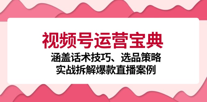 视频号运营宝典：涵盖话术技巧、选品策略、实战拆解爆款直播案例-89网创