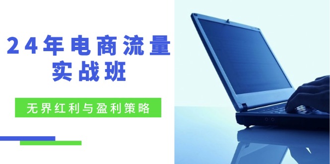 24年电商流量实战班：无界 红利与盈利策略，终极提升/关键词优化/精准…-89网创