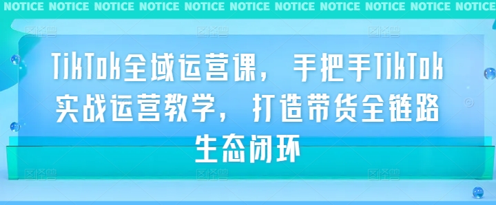TikTok全域运营课，手把手TikTok实战运营教学，打造带货全链路生态闭环-89网创