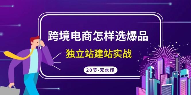 (9369期)跨境电商怎样选爆品，独立站建站实战(20节高清无水印课)-89网创