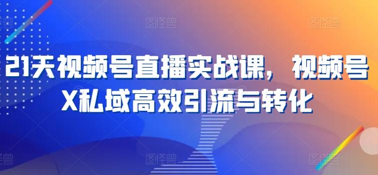 21天视频号直播实战课，视频号X私域高效引流与转化-89网创