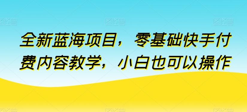 全新蓝海项目，零基础快手付费内容教学，小白也可以操作【揭秘】-89网创