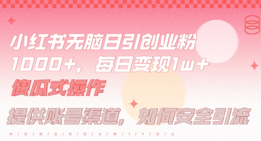 小红书无脑每日引流创业粉500+，小白每天只花半小时，躺赚长尾收益【揭秘】-89网创
