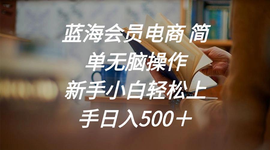 蓝海会员电商 简单无脑操作 新手小白轻松上手日入500＋-89网创