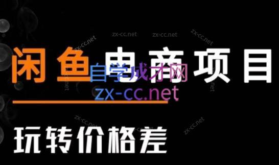 亿创繁星·闲鱼电商项目(玩转价格差)-89网创