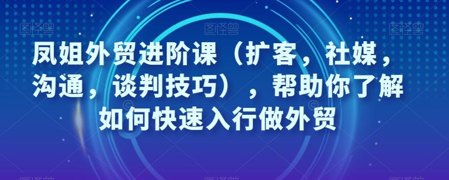 凤姐外贸进阶课（扩客，社媒，沟通，谈判技巧），帮助你了解如何快速入行做外贸-89网创