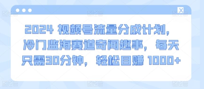 2024视频号流量分成计划，冷门监海赛道奇闻趣事，每天只需30分钟，轻松目赚 1000+【揭秘】-89网创